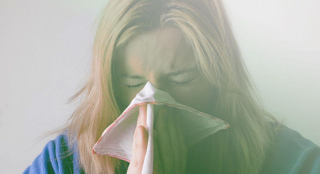 This Is What Happens When You're Allergic To Marijuana