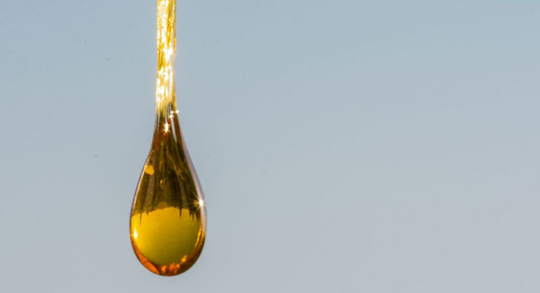 Conservative States Are Embracing CBD For Medicinal Use
