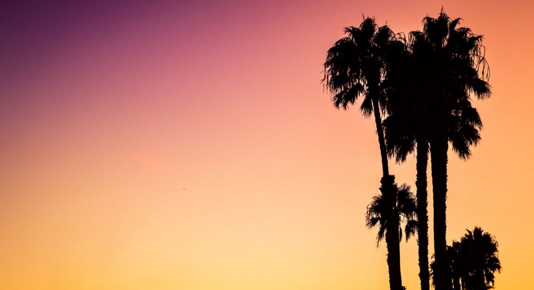 California's 'Marijuana Disneyland' Dream Is Dead