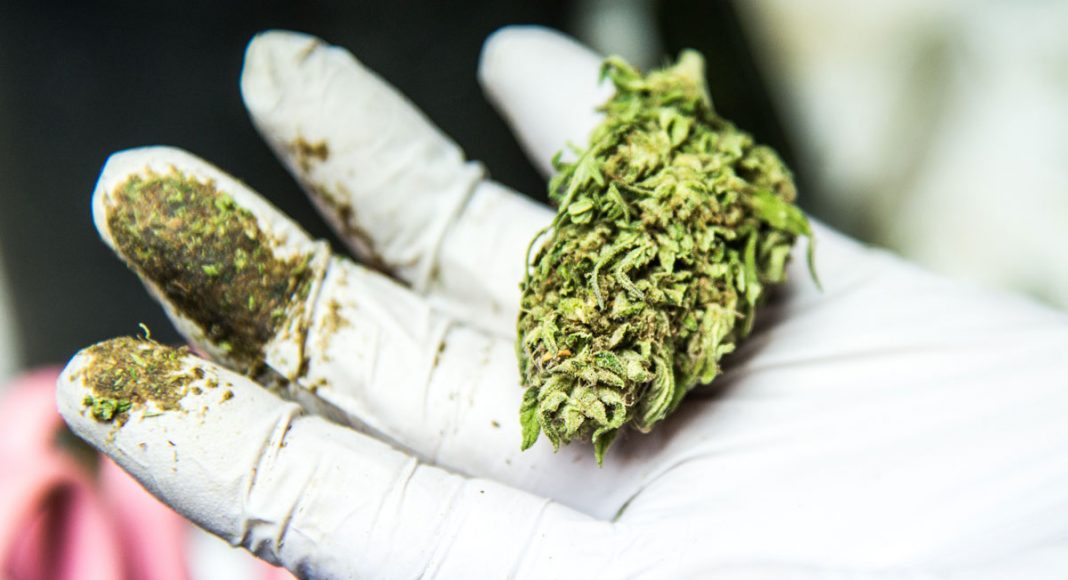 Ohhhhhhhklahoma! Citizens In This Red State Want Medical Marijuana