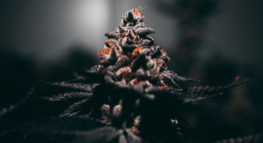 4 Super-Discreet Ways To Use Marijuana