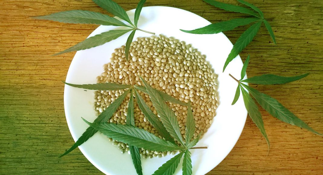 What’s the Difference Between Marijuana CBD and Hemp CBD?