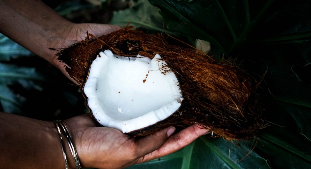 Cannabis And Coconut Oil