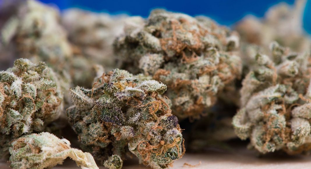 Study: Marijuana Legalization Associated With This Important Social Change