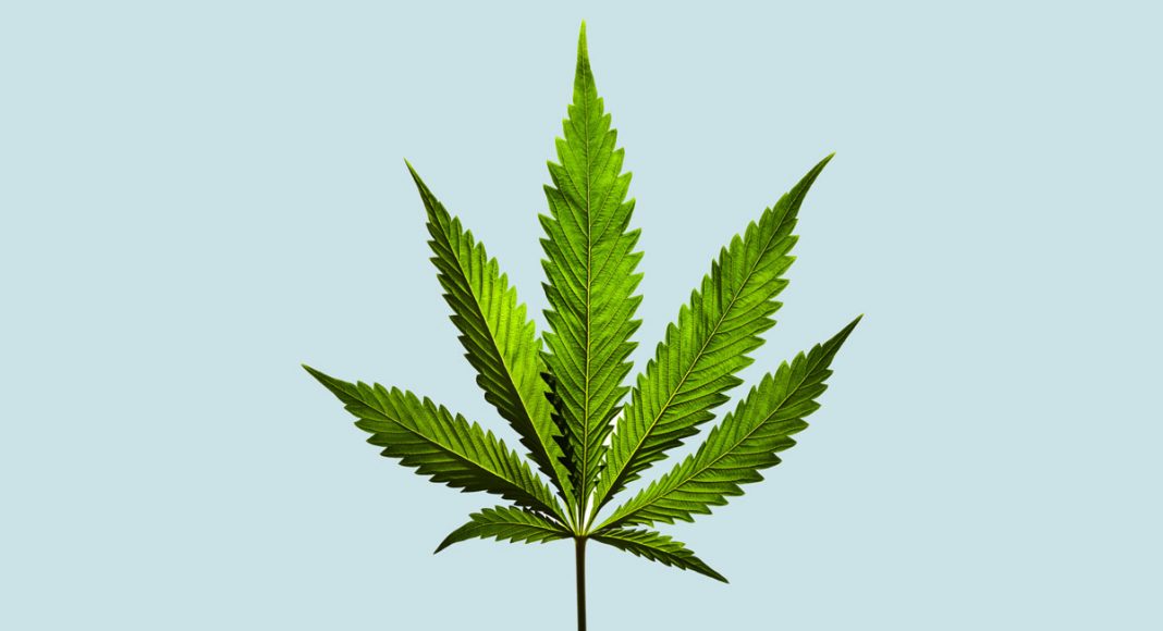 93% Of Americans Now Support Medical Marijuana Legalization
