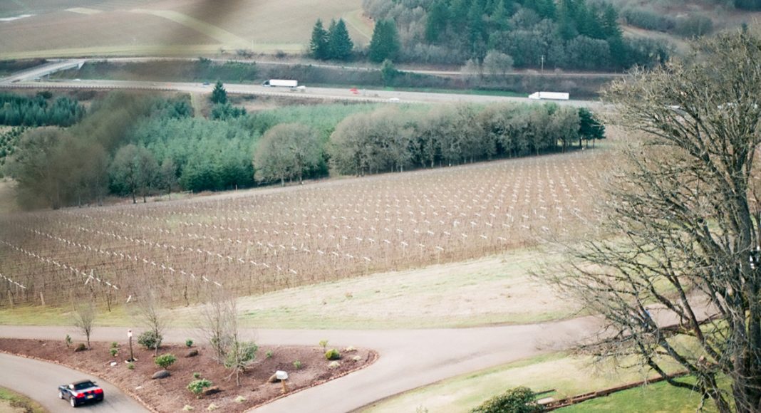 This Small Town Accidentally Legalized Cannabis