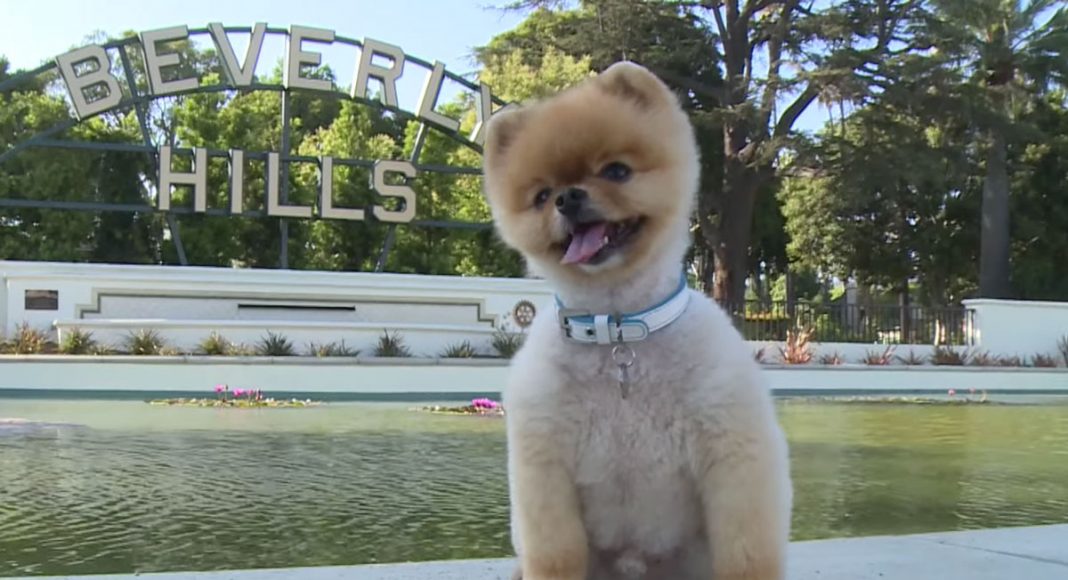 JiffPom
