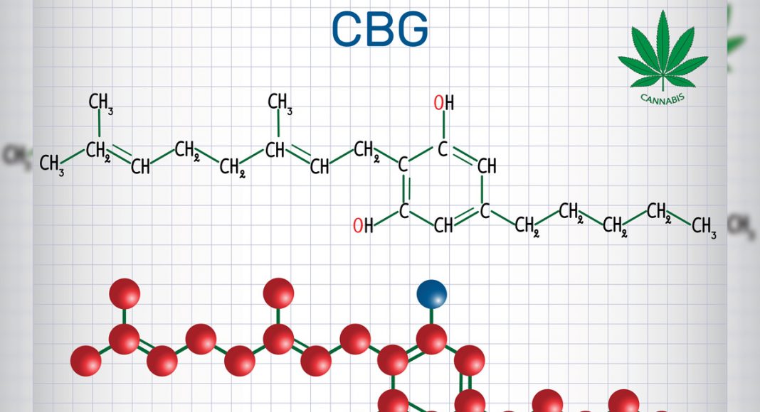 What To Know About The Healing Benefits Of Marijuana's CBG