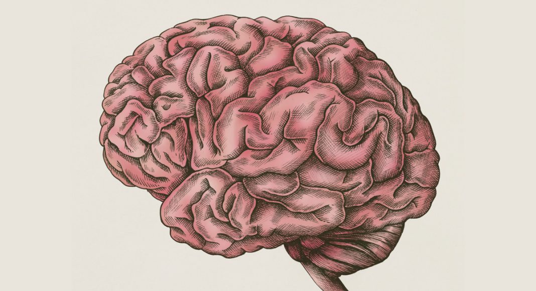 no brainer how cannabis helps treat head injuries