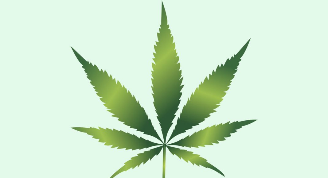 Meet The First Female CEO Of A Public Cannabis Company, Ever