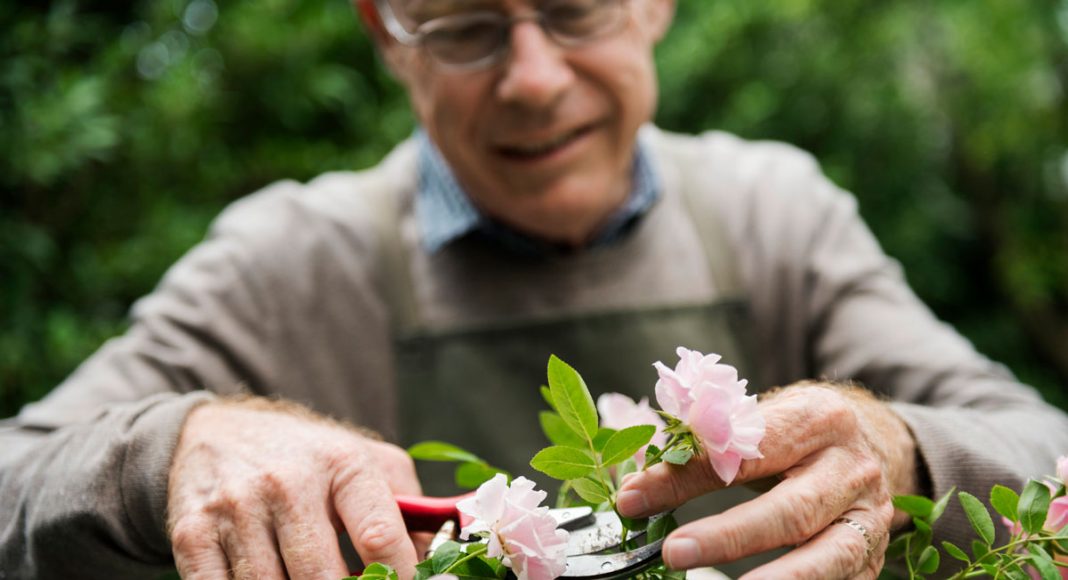 How To Talk About Cannabis With The Elderly