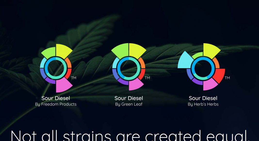 This New App Will Change The Way You Buy Cannabis