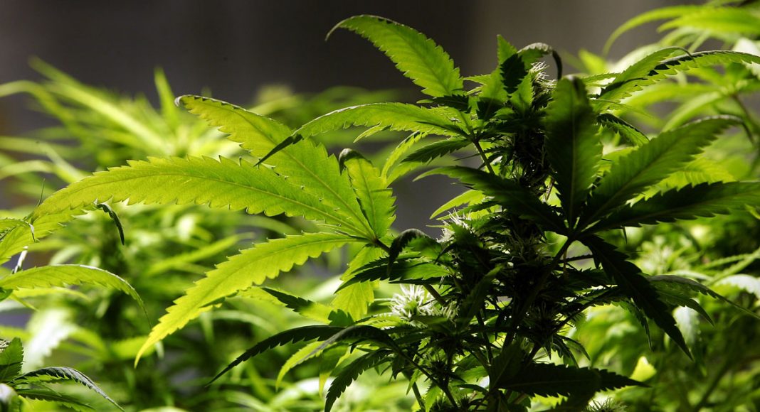 DEA Clarifies That Some CBD Products Are Legal