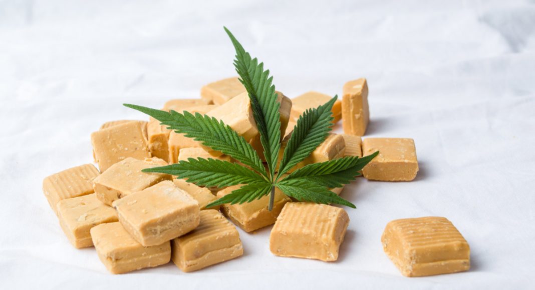 Cannabis Growth CEO: Transforming Marijuana Into Products Is Key