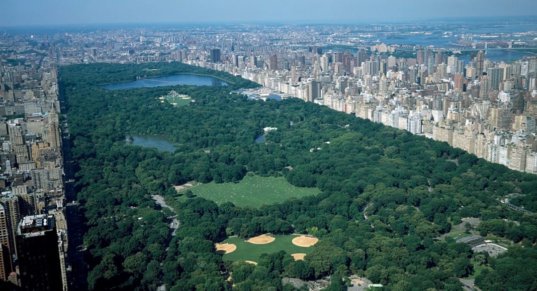 New York City Inches Closer To Full Marijuana Legalization