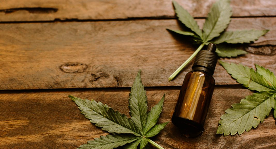 Nueroscientists Claims 'Vitamin Weed' Slows Down Aging Process