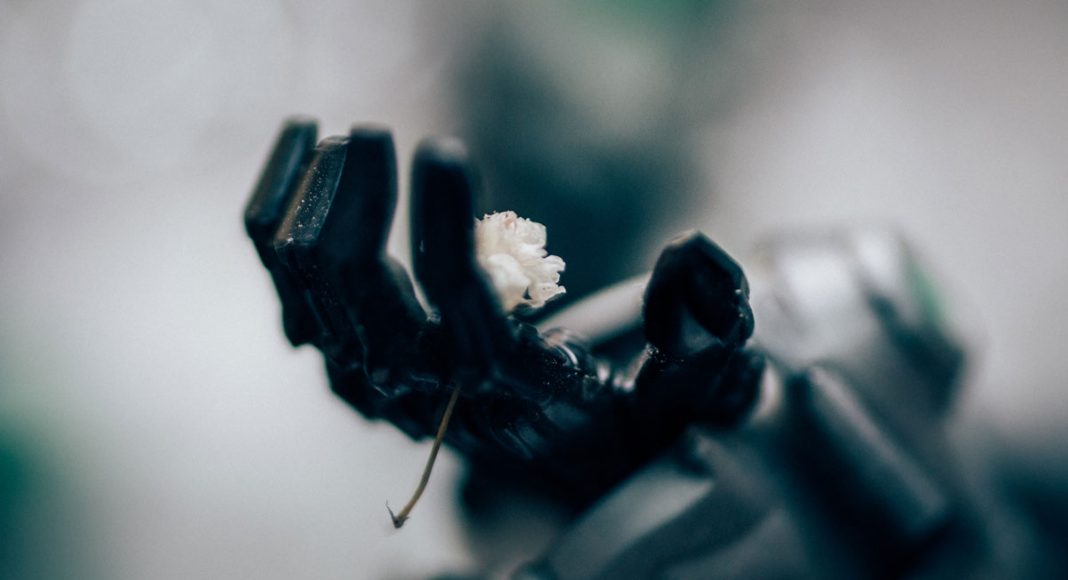 Woman Builds Robot Boyfriend Who Can Text Her Back