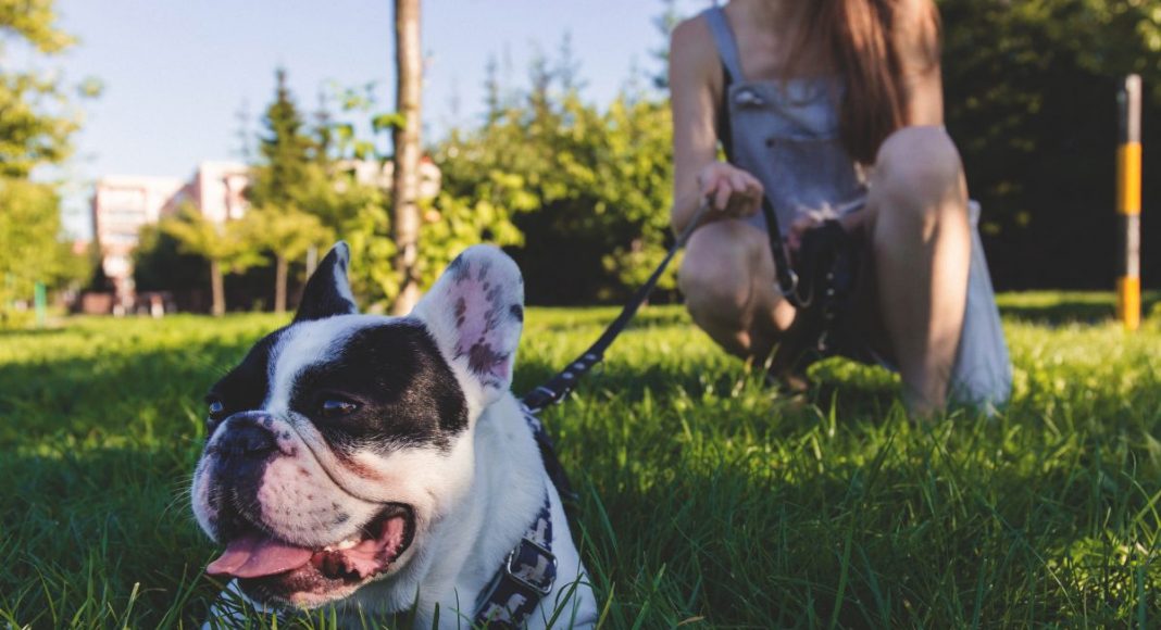 Women Dogs