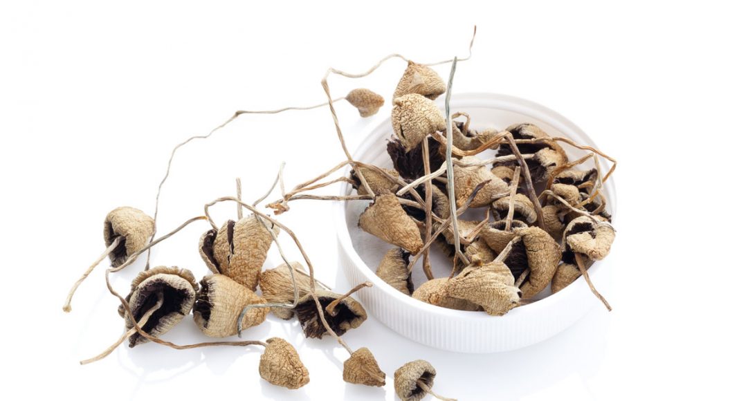 A Bill Is Underway To Decriminalize Magic Mushrooms In Denver