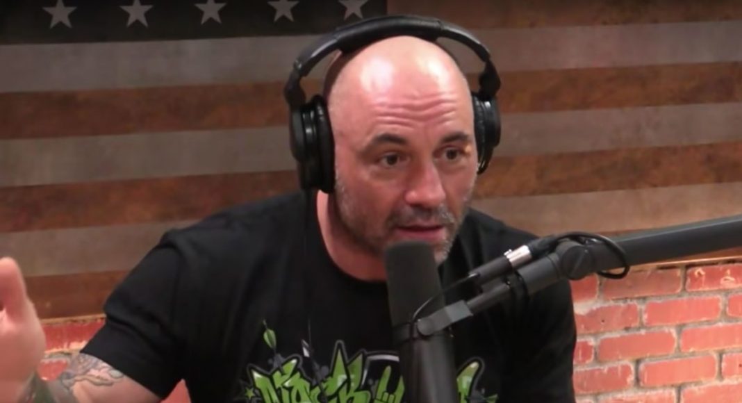 Joe Rogan Gets Heated With Ted Nugent Over Marijuana Usage