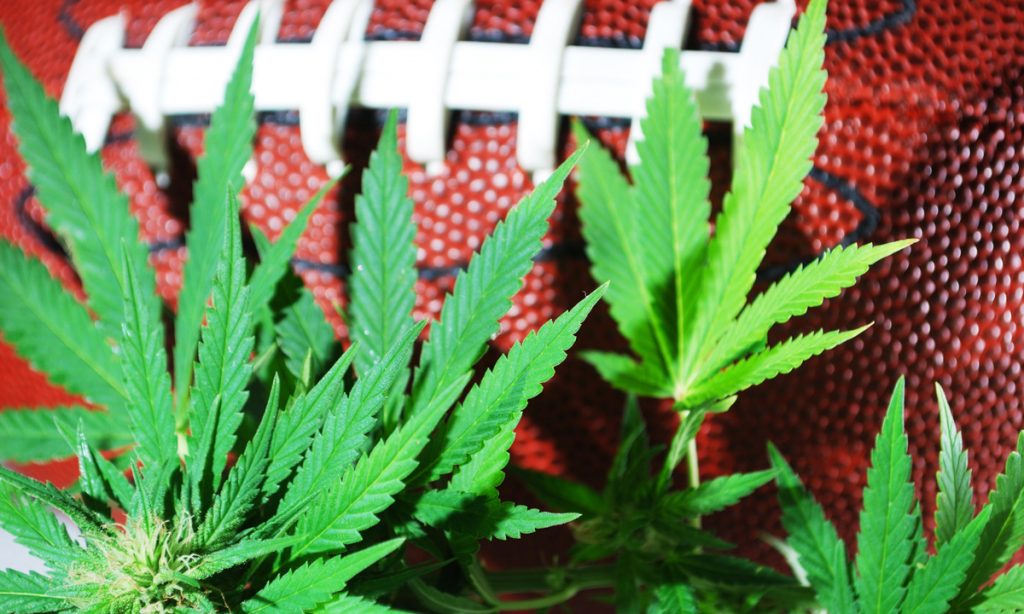 marijuana college football