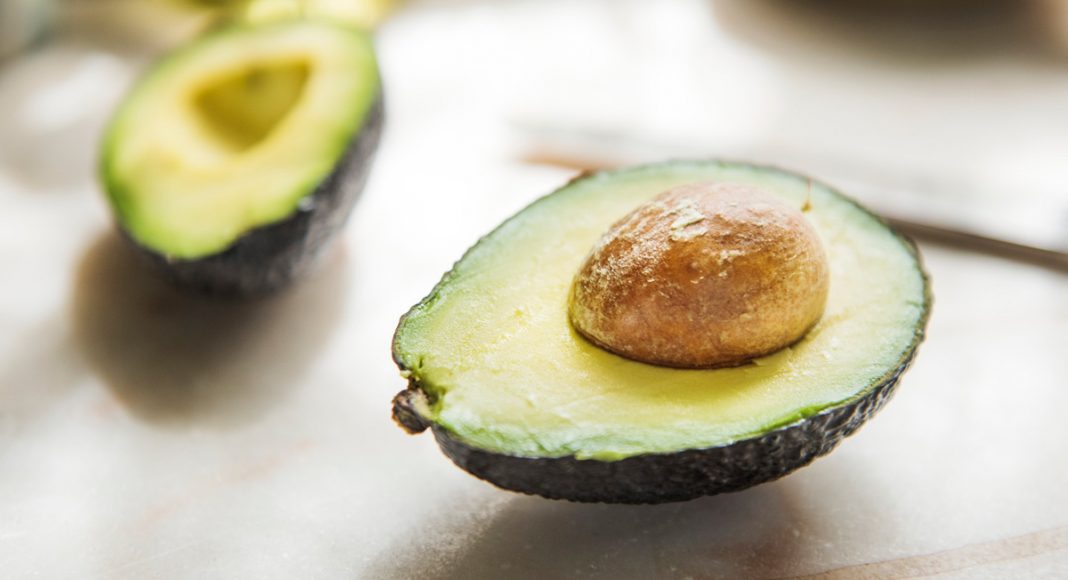 Monstrous 4-Pound 'Avozilla' Avocados Arrive In Australia