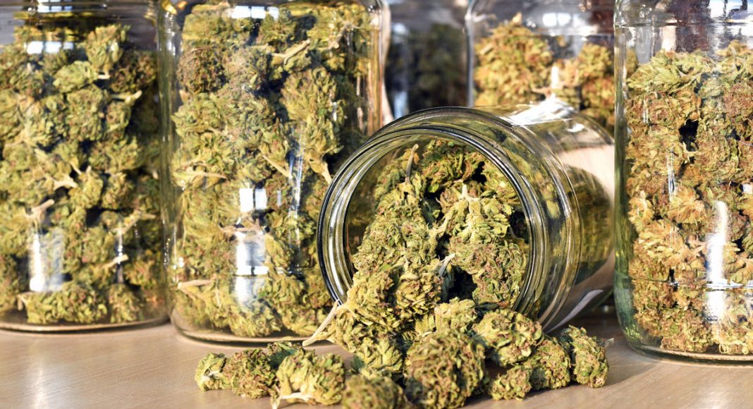 Nevada’s Cannabis Market Is Booming