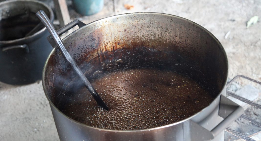 Psychedelic Ayahuasca Found To Treat Debilitating Depression