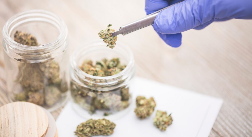 Veterans Still Fighting For Legitimate Access to Medical Marijuana