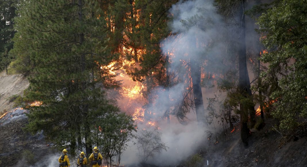 The Oregon Fires And Cannabis