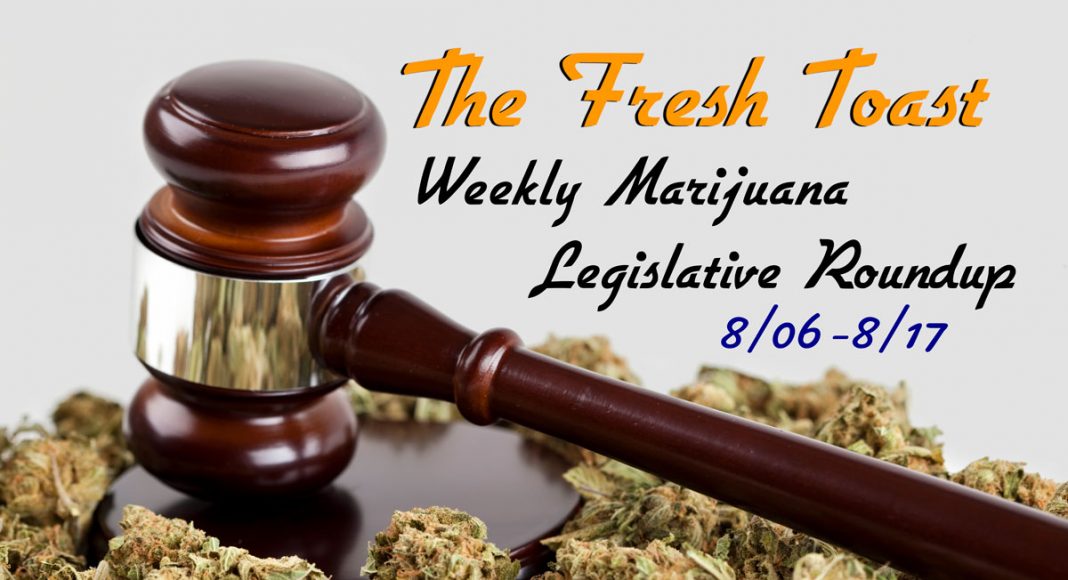 Marijuana Legislative Roundup