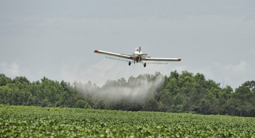 Lethal Pesticides Still A Problem In Legal Marijuana States