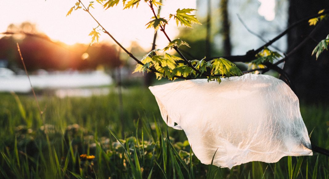 New Zealand Bans Plastic Bags