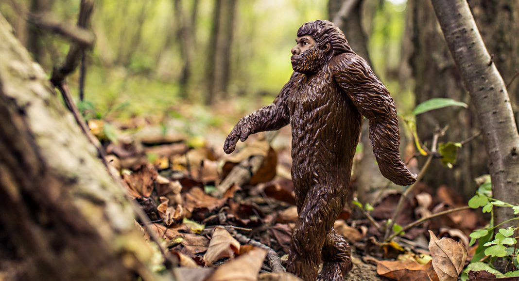 People Are Searching Bigfoot Porn Thanks To A Republican