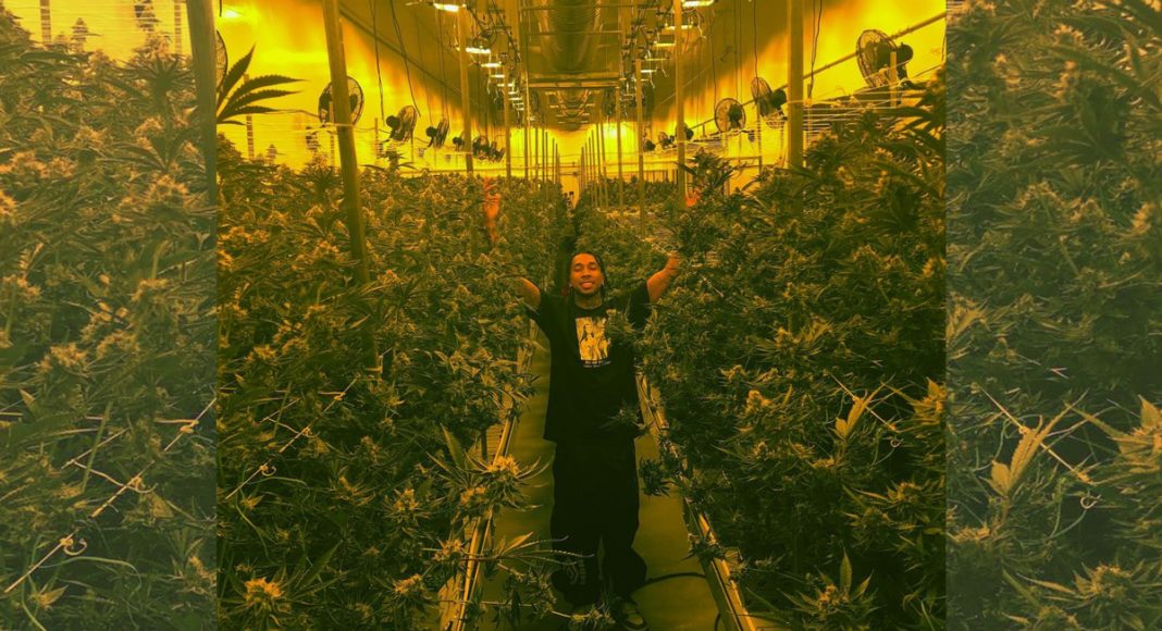Rapper Tyga Teases New Weed Strain Tie-In For Hit Single 'Taste'