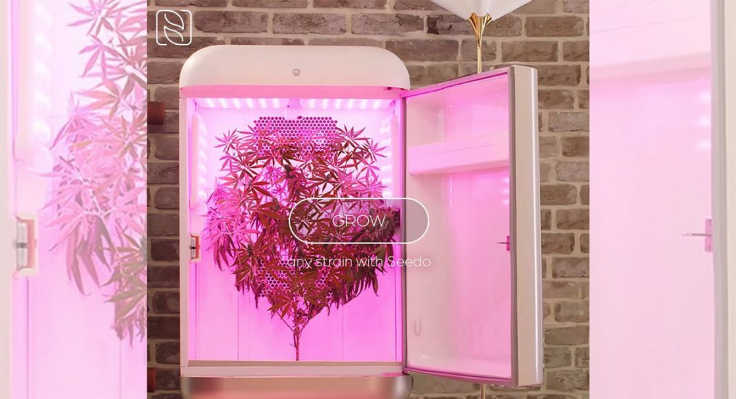 Seedo Grow Boxes