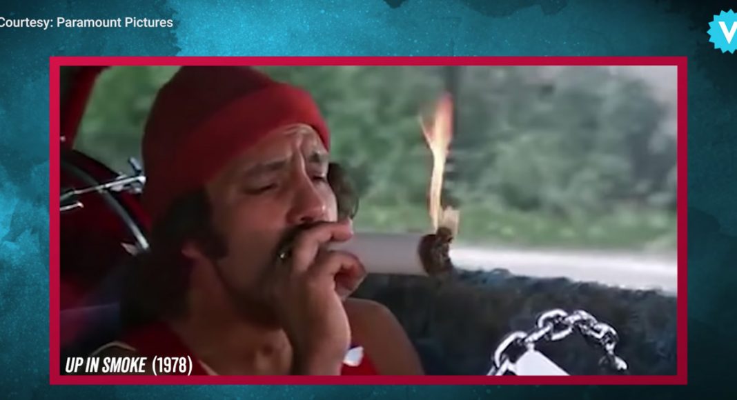 Weed Expert Fact Checks Stoner Movies