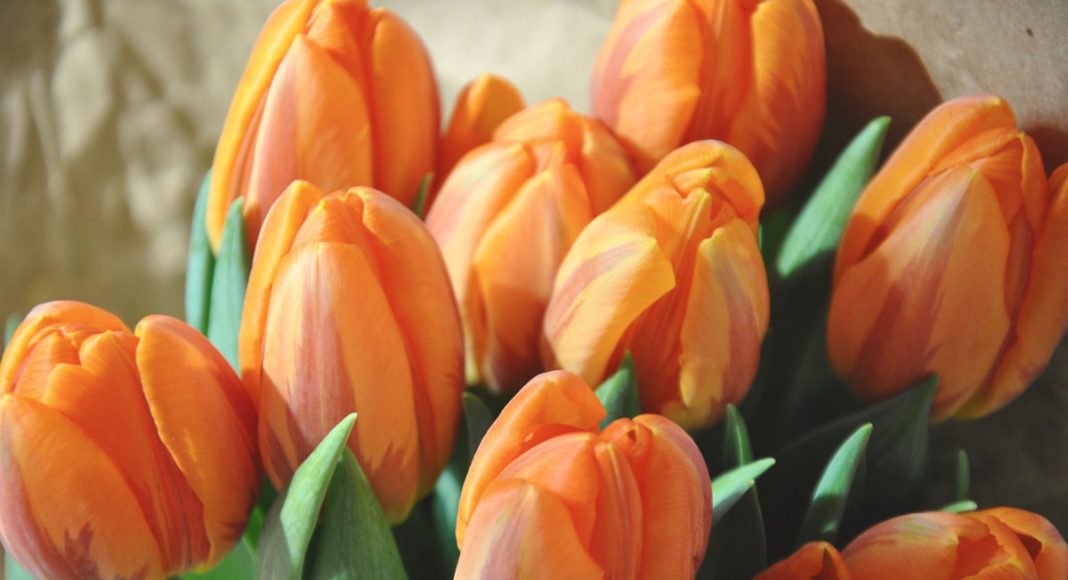 Why does Kate Middleton hate the color orange?