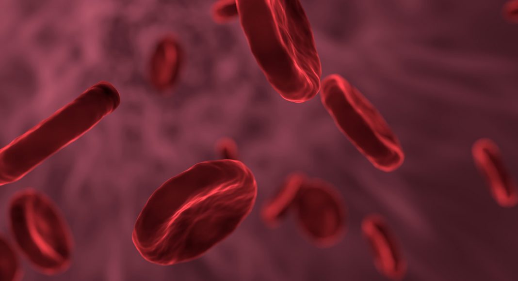 blood cells