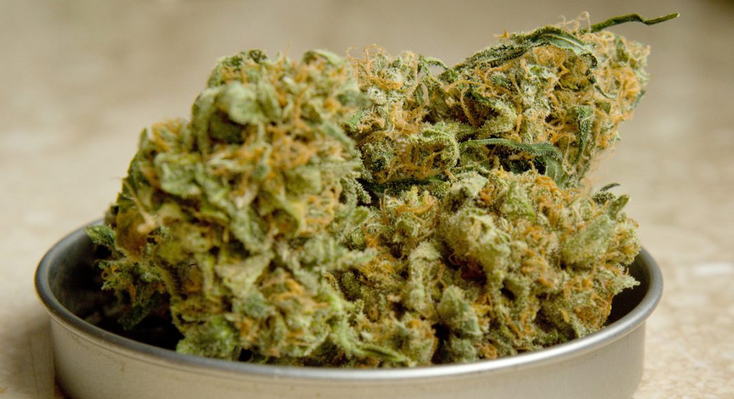 Why You Can't Overdose On Cannabis