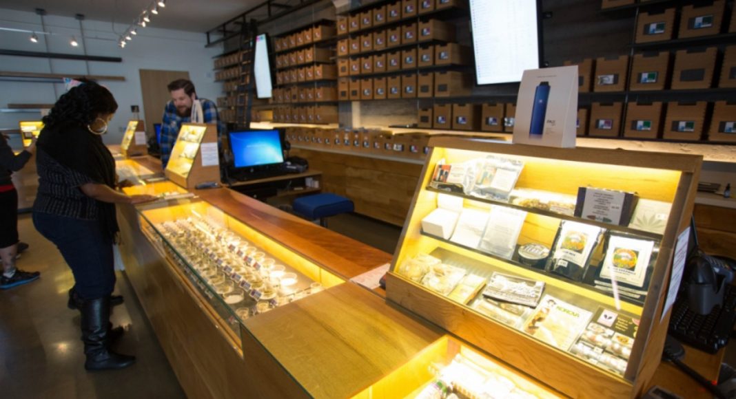 why marijuana advocates believe this is the year it could all come together
