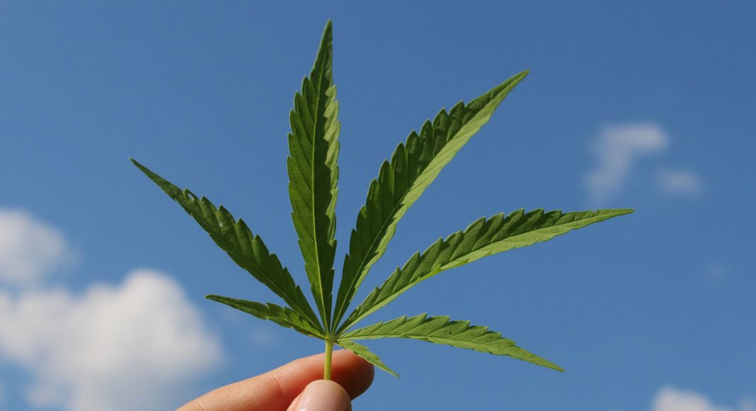 hemp is officially legal in the united states