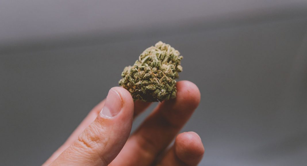 terpenes