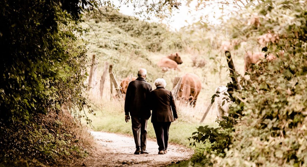 new study confirms that seniors love to spread fake news