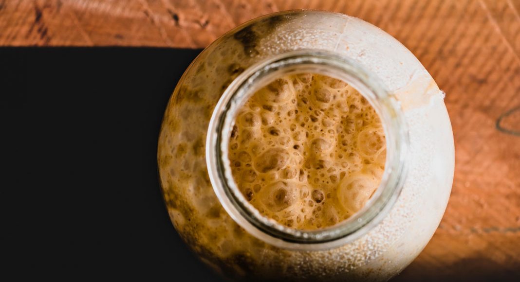 can yeast actually be used to create thc and cbd