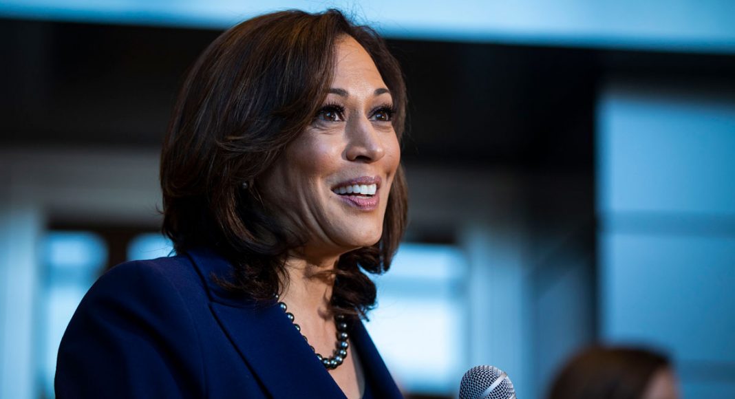 After Harris Promises Decriminalization, Cannabis Stocks Surge Up And Up