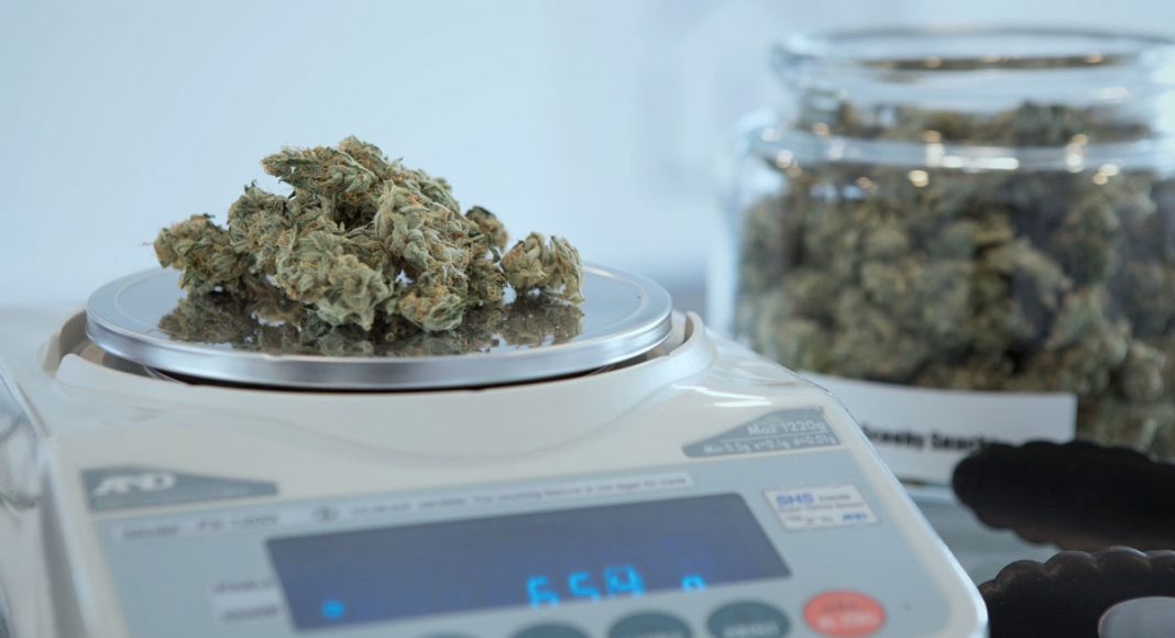 poll democrats more in favor of marijuana legalization than ever