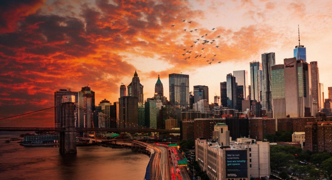 why is new york city embargoing cbd products