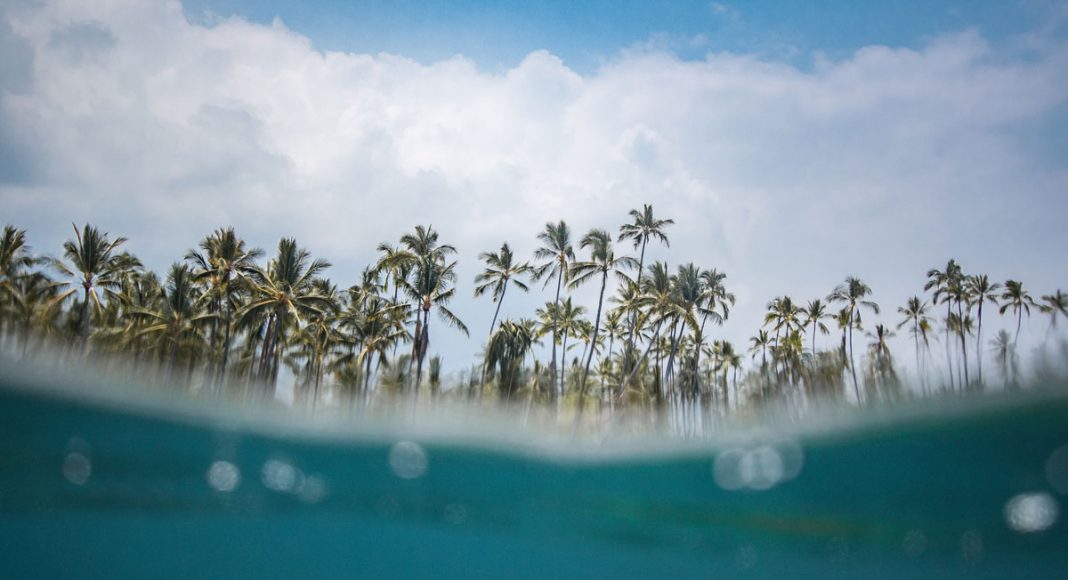 hawaii once again says no to recreational marijuana