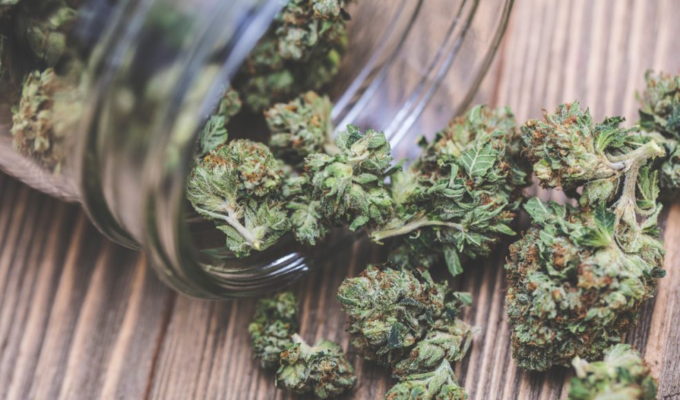 What Canopy Growth Investors Need to Know About the Houseplant Deal